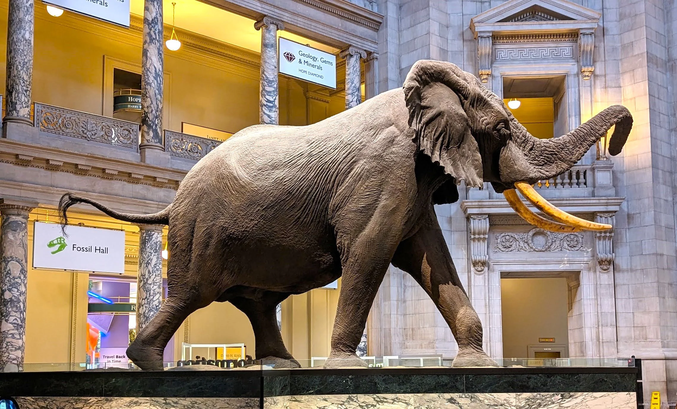 Smithsonian National Museum of Natural History Exhibits Wonders